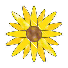 isolated cute flower icon vector illustration graphic design