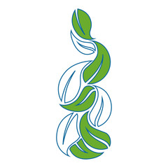 isolated sheets trees icon vector illustration graphic design