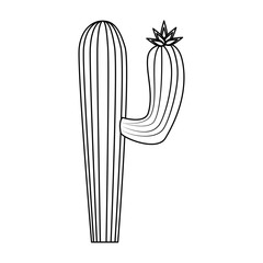 isolated desert cactus icon vector illustration graphic design