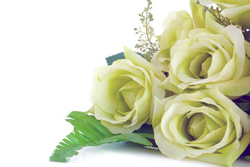 Green rose bouquet on white background - retro style lighting effect