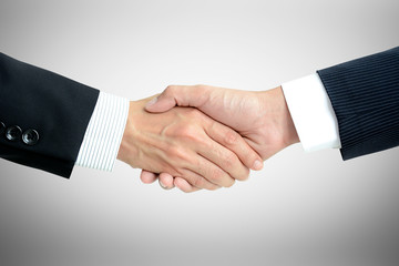 Handshake of businessmen - success, dealing, greeting & business partner concepts