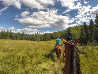 Fototapeta na wymiar Horseback riding in Alberta, Canada