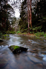 Barham River