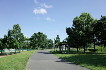 ７月の散歩