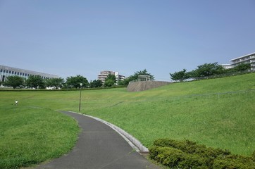 Obraz premium ７月の散歩