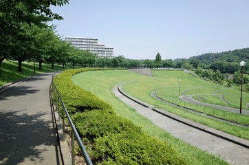 ７月の散歩