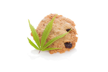 Fresh marijuana biscuit.