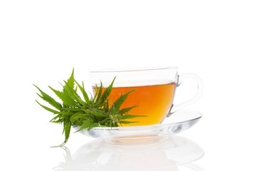 Cannabis herbal tea isolated.