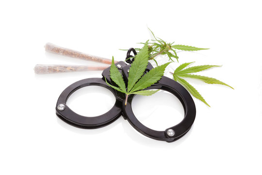 Cannabis spliffs and handcuffs.