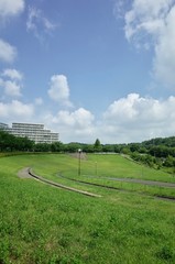 Obraz premium ７月の散歩