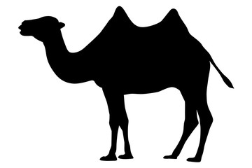 Camel. Black silhouette