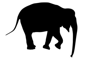 Elephant. Black silhouette