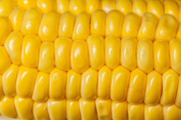 corn background