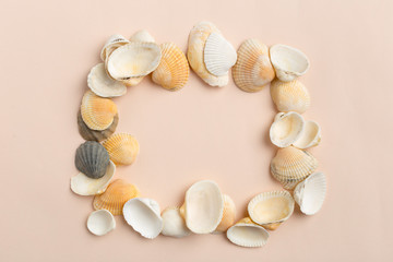 seashells on a bright background