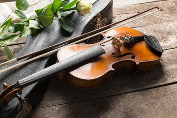 Beautiful violin