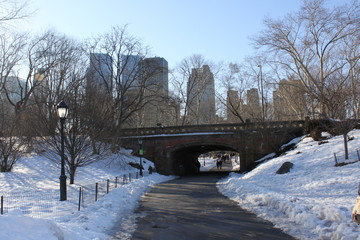 architecture central park manhattan