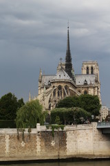 Fototapeta na wymiar Paris Notre Dame Ile de la Cité 