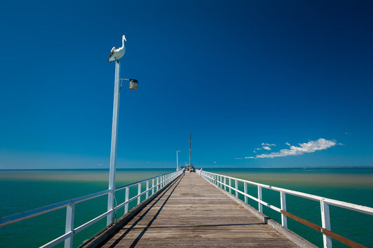 Hervey Bay Jetty 3