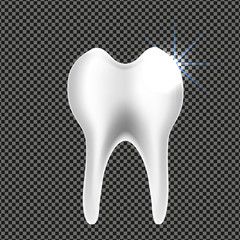 A realistic 3d tooth on a transparent background. Vector illustration