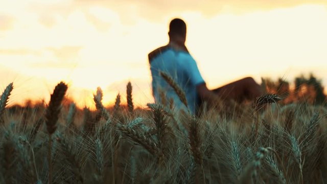 In a field of wheat at sunset is a couple in love. In a field of wheat at sunset is a couple in love.