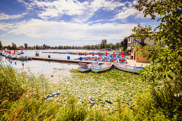 Obraz premium Sommer an der Alten Donau in Wien