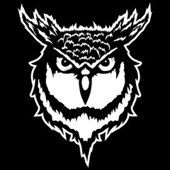 Vector illustration of a head of an owl