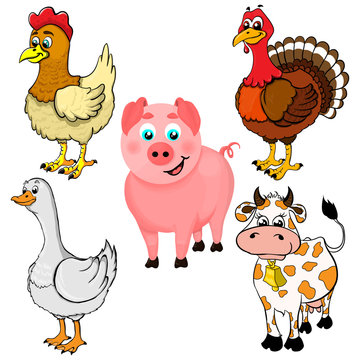 Isolated illustration of farm animals