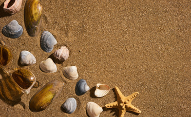 Starfish with sun glasses on a beach sand, vacation and summer time concept. Summer background with copy space.