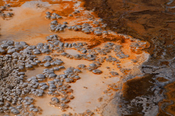 Fototapeta na wymiar Biscuit Basin in Yellowstone National Park. Thermal area that is part of the Upper Geyser Basin.