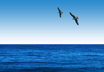 Fototapeta na wymiar Mar Mediterráneo, cielo degradado y pareja de gaviotas