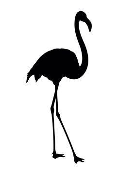 Vector silhouette of flamingo on white background