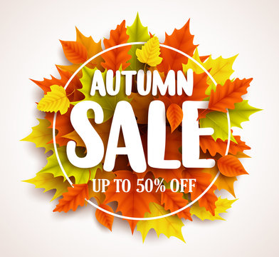 Autumn sale  vector banner design with text in colorful fall leaves and circle frame in a background for seasonal marketing discount promotion. Vector illustration.
