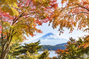 富士山と紅葉、山梨県河口湖にて