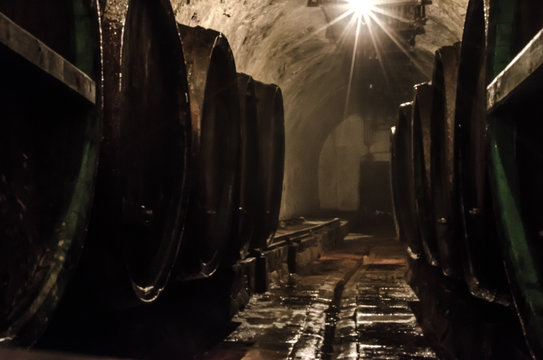 Wooden Barrels In Plzen Brewery In Czech Republic