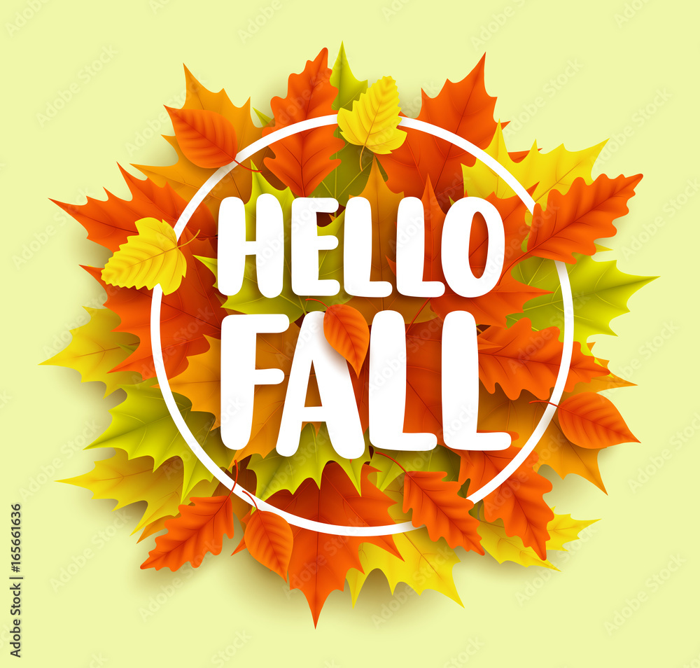 Poster hello fall text vector banner design with yellow and orange autumn maple leaves and circle frame in 