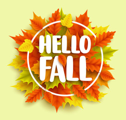 Hello fall text vector banner design with yellow and orange autumn maple leaves and circle frame in green background for seasonal marketing promotions. Vector illustration.   © AmazeinDesign