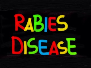 Obraz premium Rabies disease Concept 