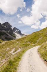 St. Moritz, Engadin, Oberengadin, Alpen, Schweizer Berge, Wanderweg, via Engiadina, Signalbahn, Suvretta, Julierpass, Piz Julier, Graubünden, Sommer, Schweiz