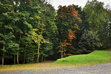 Namur park. Wallonia. Belgium