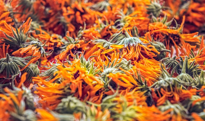 Calendula officinalis or Marigold dry tea flowers, close view