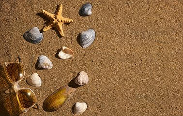 Starfish with sun glasses on a beach sand, vacation and summer time concept. Summer background with copy space.