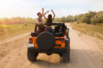 Back view of friends sitting in a car with hands raised