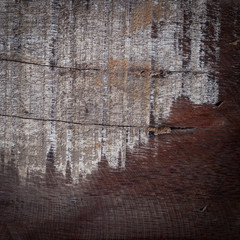 abstract wood aged weathered rough grain surface texture background