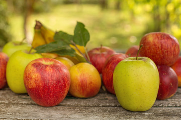 fruits