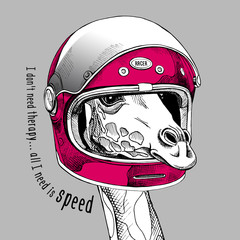 Naklejka premium Giraffe portrait in a racer modern helmet. Vector illustration.