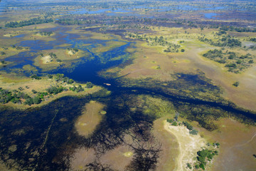 Aerial photo of Okavango Delta, Botswana, Africa