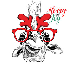 Christmas card. Giraffe in a party mask (red glasses and antlers). Vector illustration.