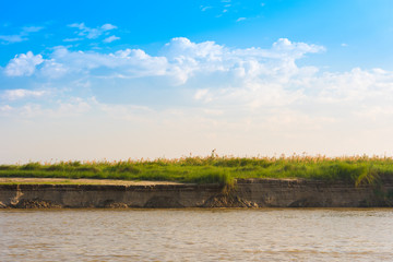 Bulrush on the Irrawaddy river, Mandalay, Myanmar, Burma. Copy space for text.