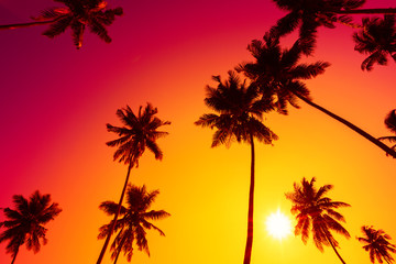 Tropical sunset