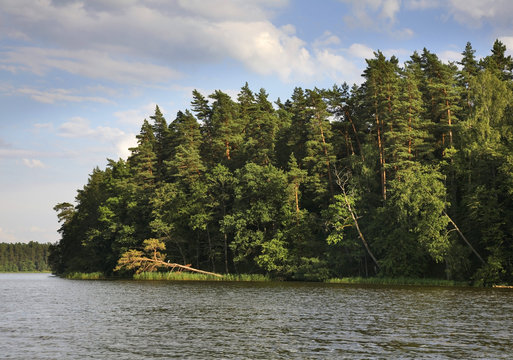Rospuda lake near Augustow. Poland